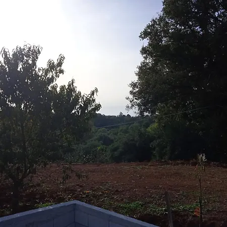 Nonno Pino לינה וארוחת בוקר 3*